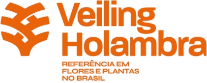 Veiling Holambra